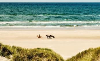 Reiturlaub auf Fanö Reiterhöfe