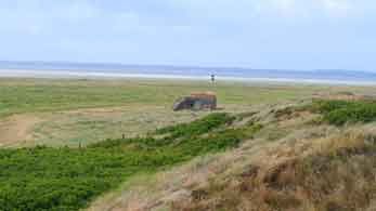 Bunker Fanö Nordwest