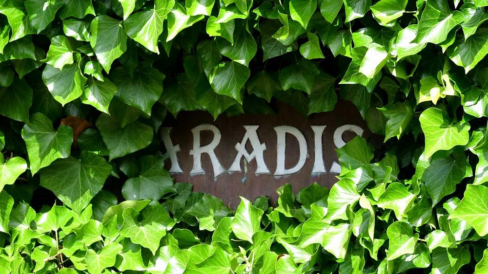 Römö Tempo Camping Fanö Paradies