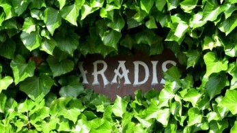 Tempo Camping Paradies