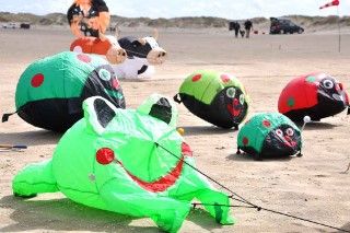 Drachenfest auf Fanö - Bodenwindspiele Frosch, Käfer und Kuh