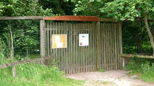 Albue Vogelkoje Fanö