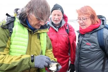 Austern Safari Fanö Austern knacken
