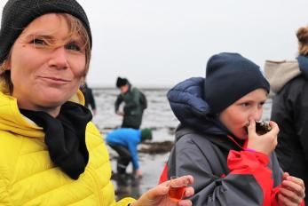 Fanö Austern Safari - gleich probieren