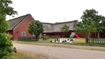 Feldberg Camping Fanö - Küchenhaus