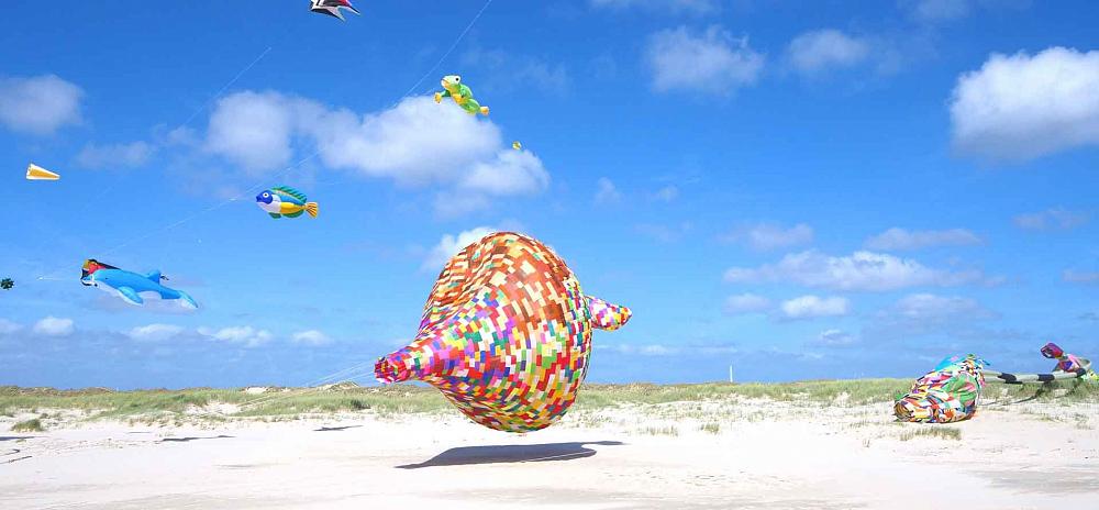 Fanö Strand Drachen