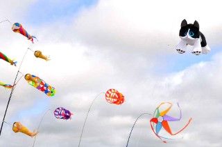 Drachenfest auf Fanö - Katze am Himmel