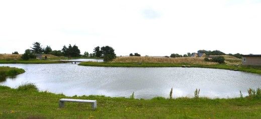 Fanö Angeln Forellenteich 1