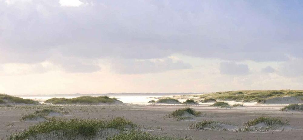 Wir zogen uns aus nackt am fkk strand Die Fortsetzung