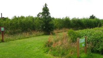 Fanö Fussballgolf - Start