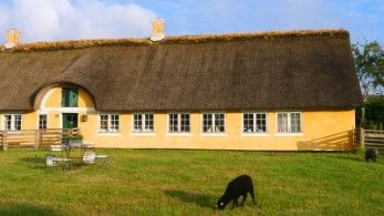 Idylle in Sönderho auf Fanö