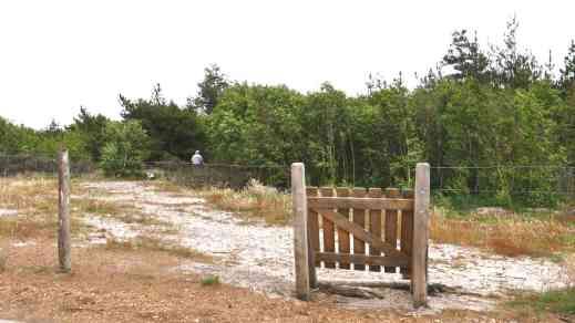 Areal für Hunde auf Fanö