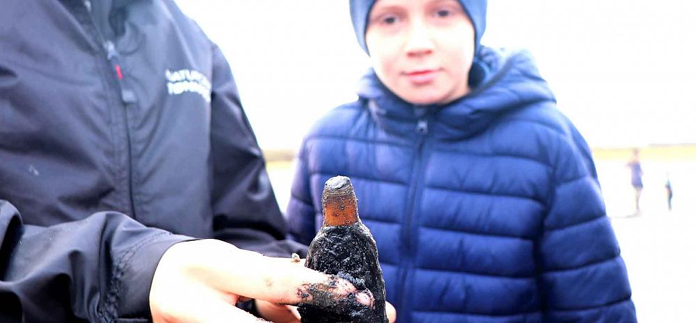 Fanö Wattwanderung Muschel