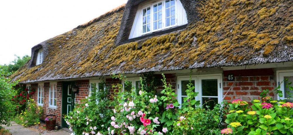 Ferienhaus in Nordby auf Fanö 3+ Ferienhäuser