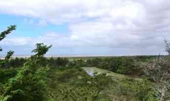Fanö Paelebjerg Blick NW