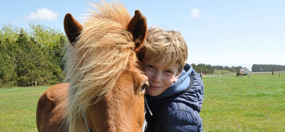 Reiten auf Fanö Pferd und Reiter