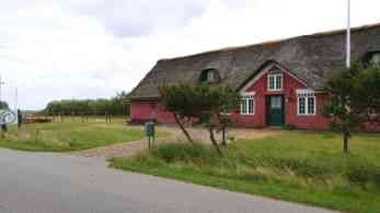 Reiten auf Fanö Rindby Kolind