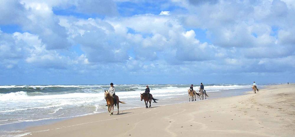 Fanö Strand Reiten