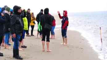 Seehund-Safari auf Fanö