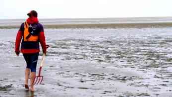 Seehund-Safari auf Fanö - Guide geht voran