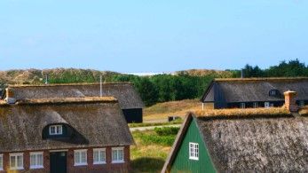 Ferienhäuser in Sönderho auf Fanö