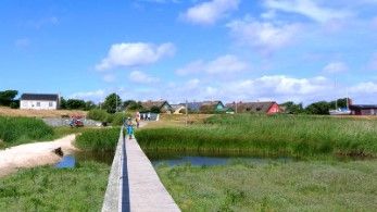 Steg am Hafen von Sönderho