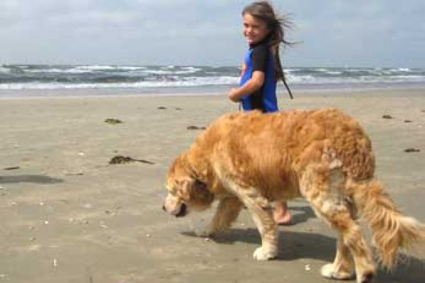 Hund und Kind gehen Baden auf Fanö