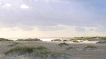 Fanö Strand Jessens Sand