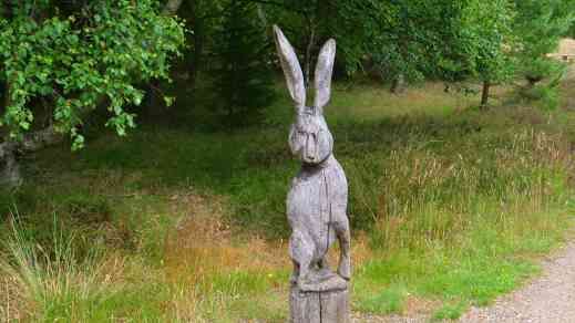 Fanö Waldspielplatz Hase