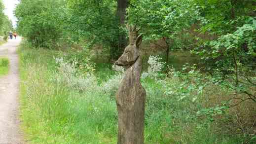 Fanö Waldspielplatz Reh