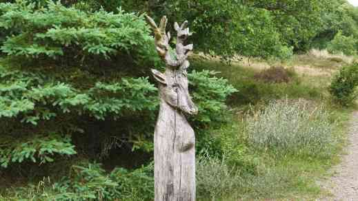 Fanö Waldspielplatz Rothirsch