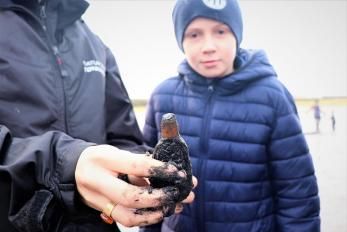 Fanö Wattwanderung Muscheln untersuchen