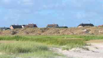 Ferienhäuser in Fanö Bad in Dünen