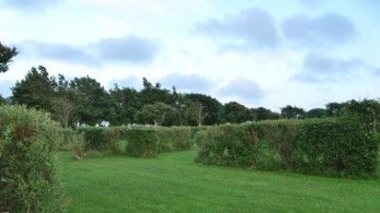 Campingplatz Nycamping auf Fanö - Campingplatz