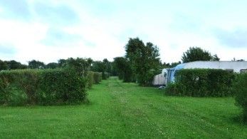 Campingplatz Nycamping auf Fanö - Wohnwagen