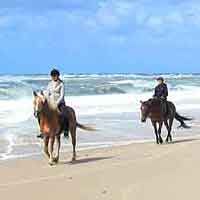 Reiten am Strand von Fanö