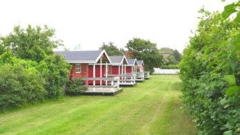 Campinghütte vom Campingplatz Rödgaard Typ A