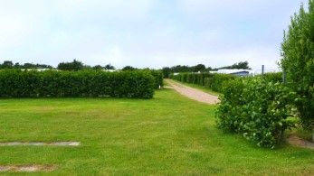 Fanö Rödgaard Camping Campingplatz