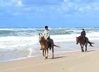 Fanö Reiten am Strand