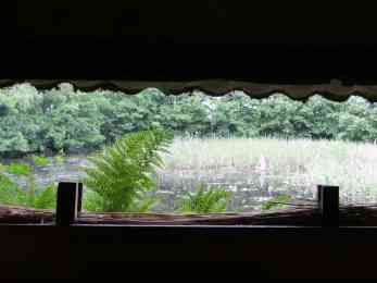Fanö Vogelkoje Sönderho Beobachtungsstand Ausblick