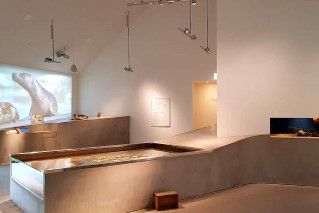 Raum Leben im Wattenmeer im Museum