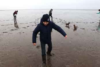 Wattwanderung auf Fanö